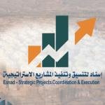 إسناد لتنسيق وتنفيذ المشاريع الاستراتيجية